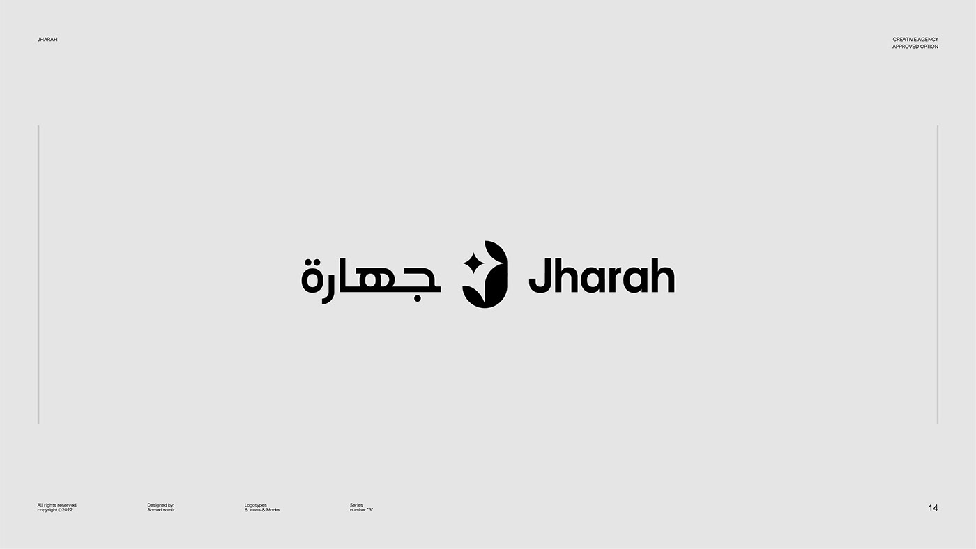 brand identity branding  lettering logo Logo Design logofolio Logotype mark trademark typography  