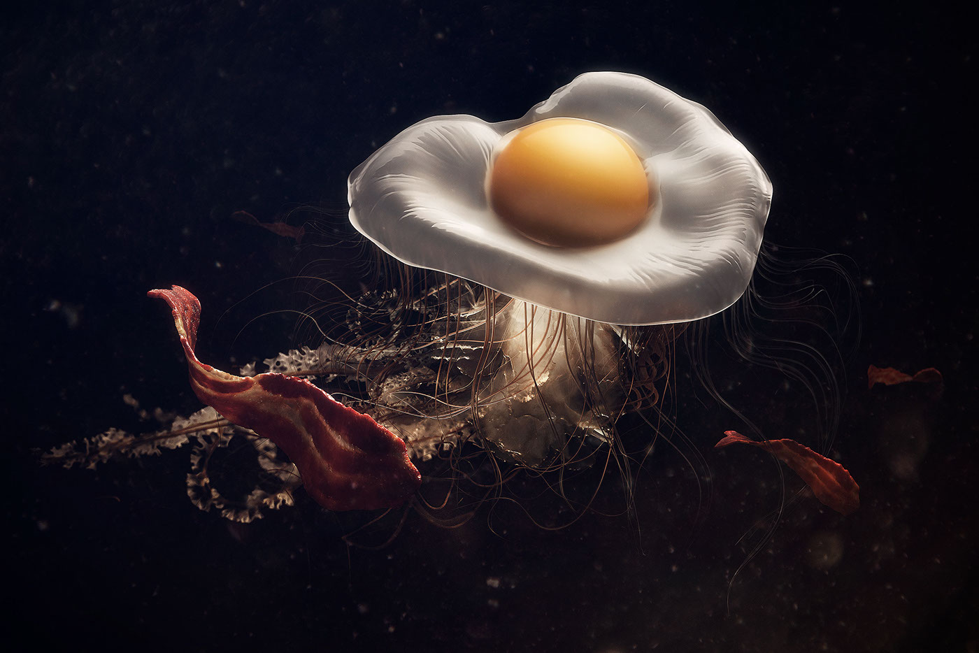 egg bacon jellyfish