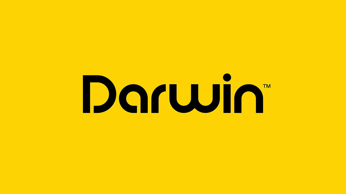 evolution fitness track darwin app andrea fagiolari Vittorio Perotti luca fontana yellow sport