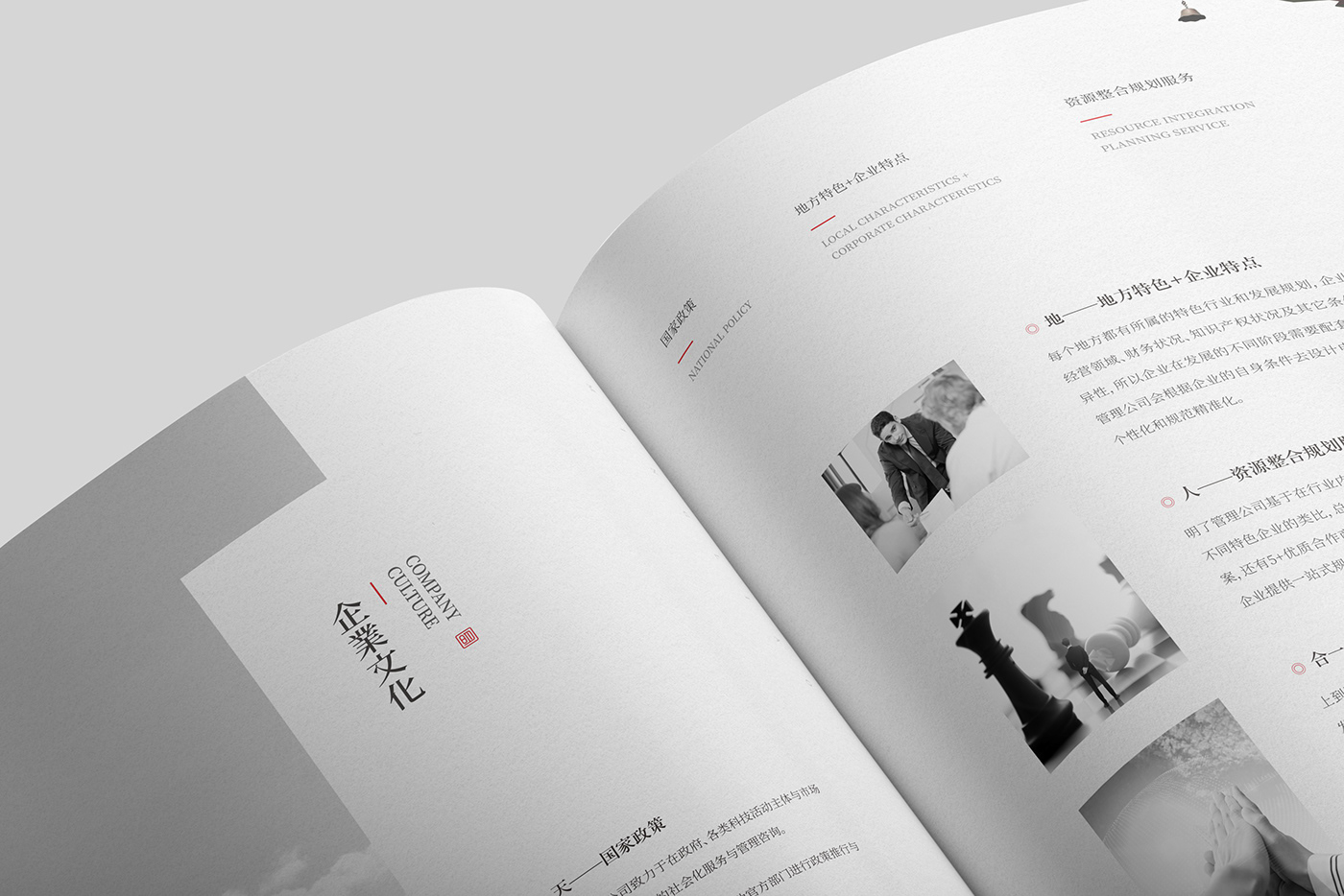 publication 中国风画册 企业画册 品牌手册 宣传册 手册 画册 画册设计