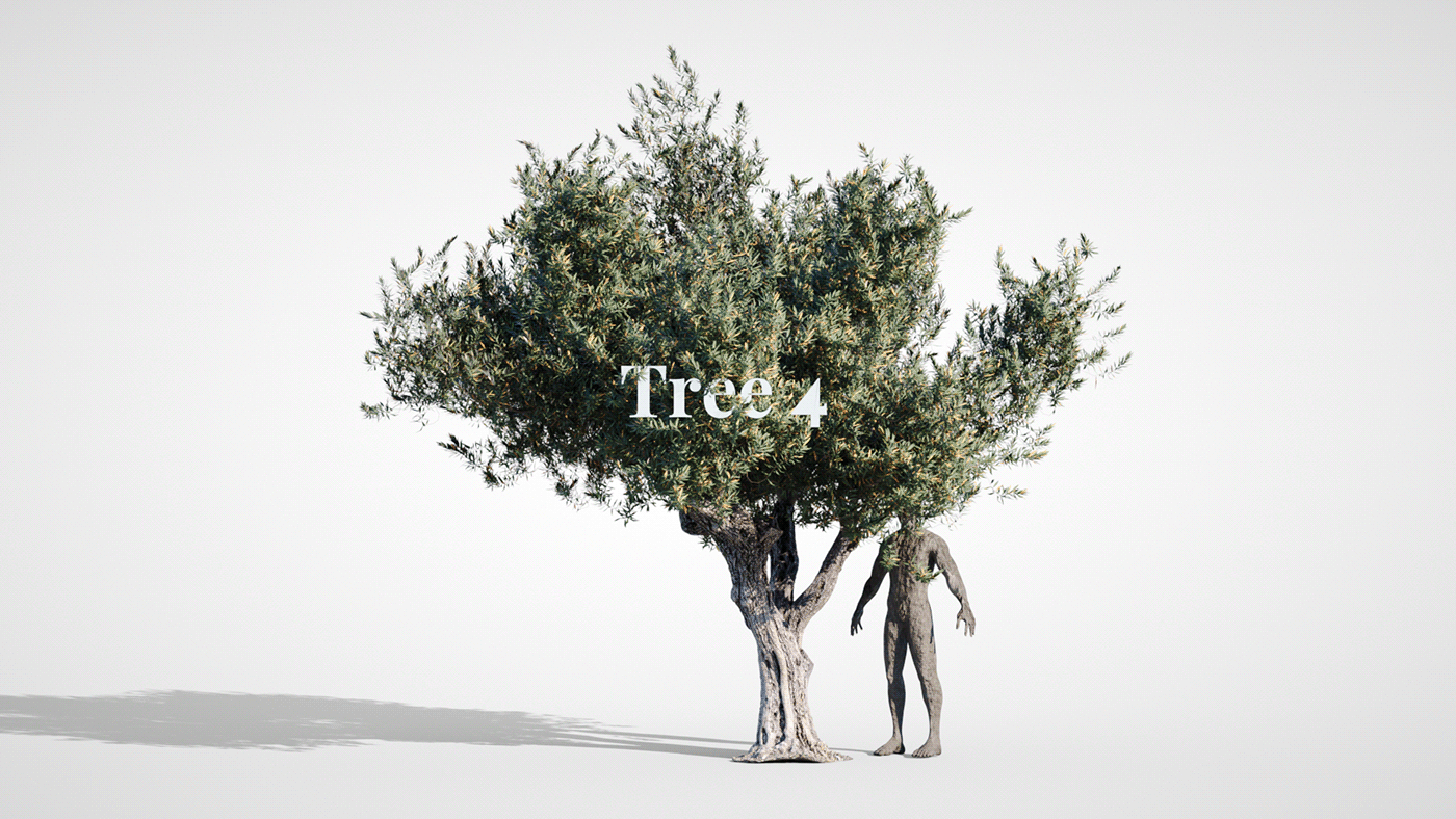 3d scan 3d tree 3d trees 3ds asset 3DScan darstellungsart olive olive tree Photogrammetry tree asset