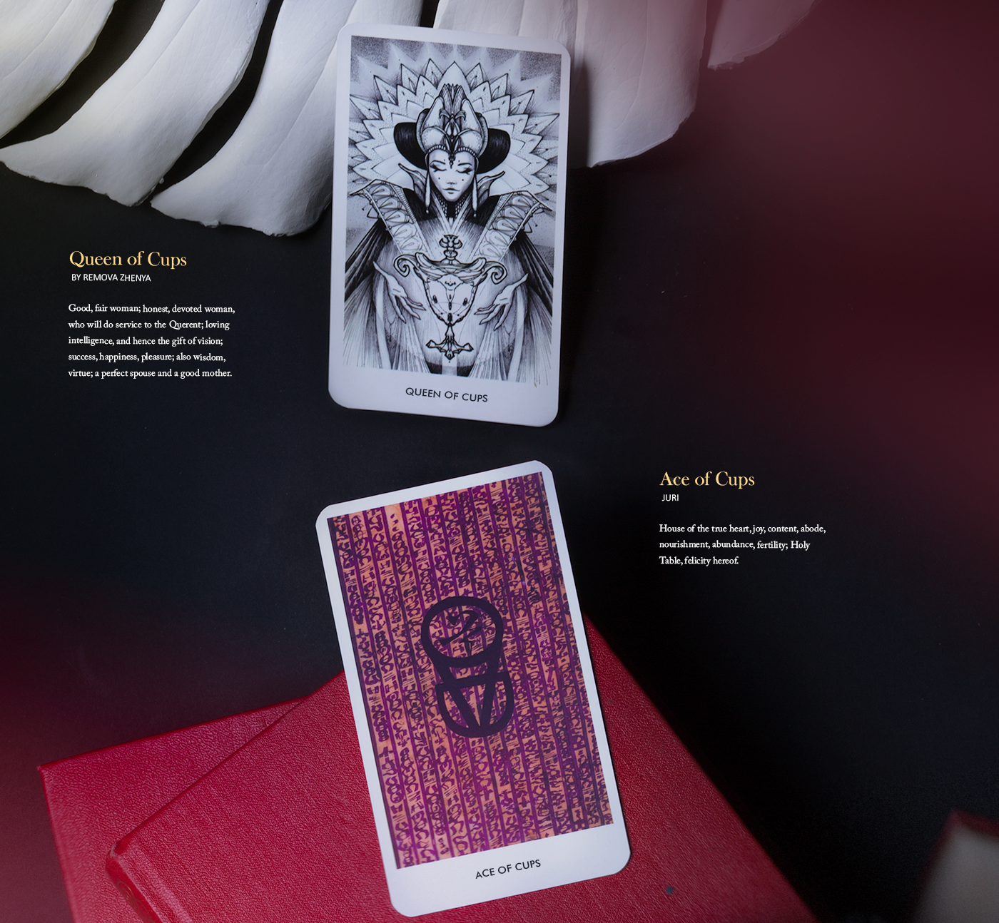 tarot cards esoteric group artists ILLUSTRATION  graphic typo