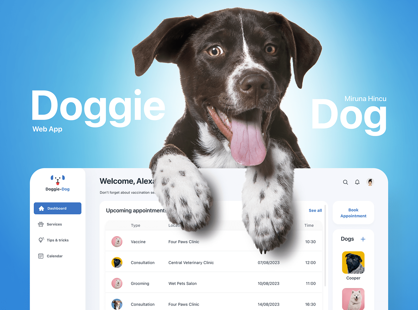 Appointment calendar dashboard doctor dogs Figma medical Pet veterinary webapp