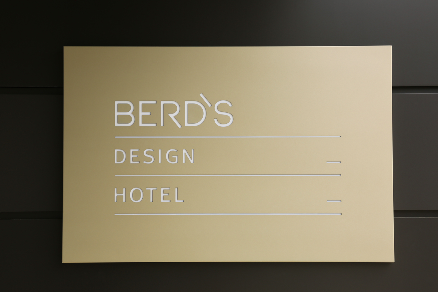 BERD'S Design Hotel Молдова Brand Design chisinau vadim paschenko Фірмовий стиль Logo Designs дизайн дизайн вадим пащенко