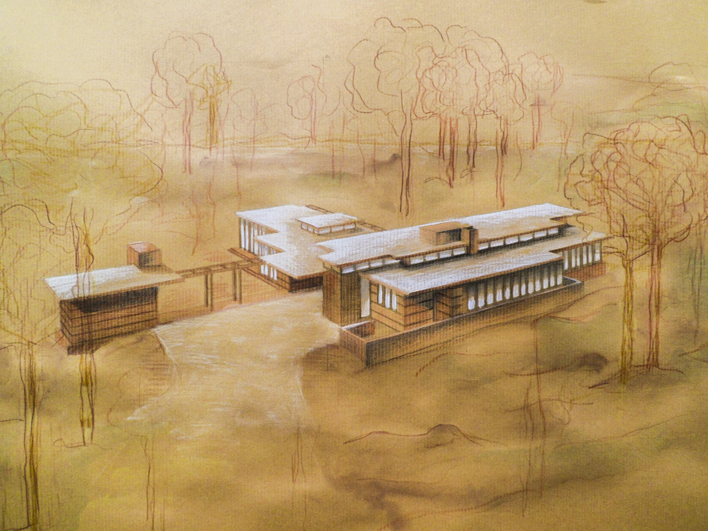 Frank Lloyd Wright Christie Residence Acquerelli disegno tecnico assonometria prospetti pianta architecture Drawing  watercolor