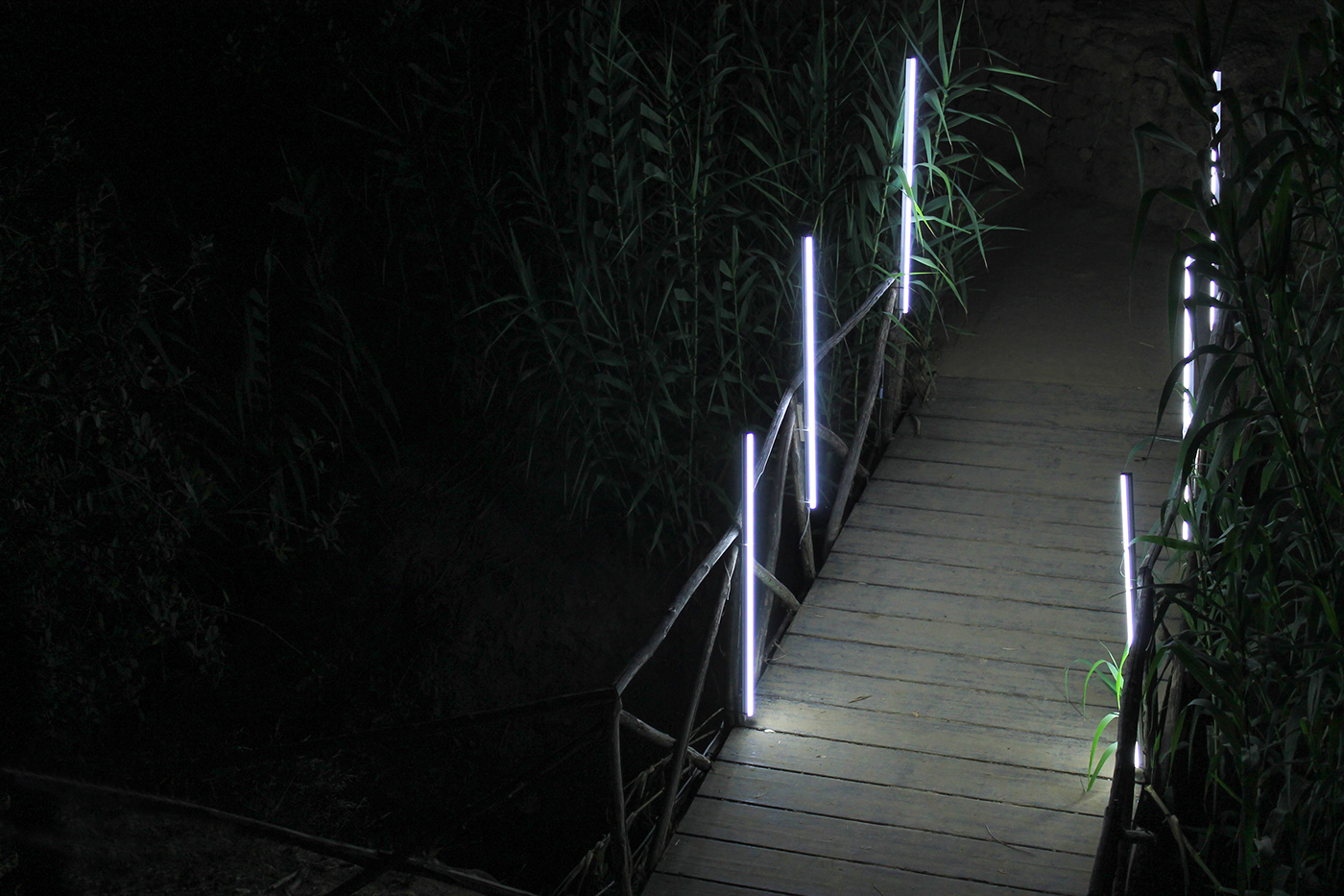 light design light installation LED Light strings electronic music wood light garden contemporary art