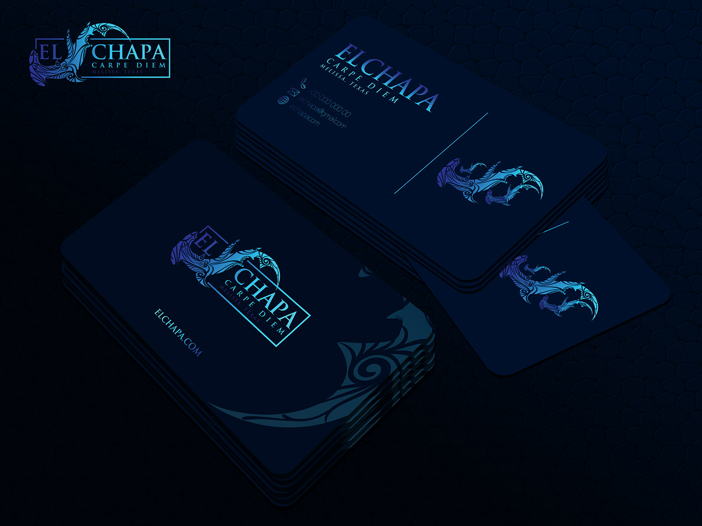 shark logo design ,business card ,branding 