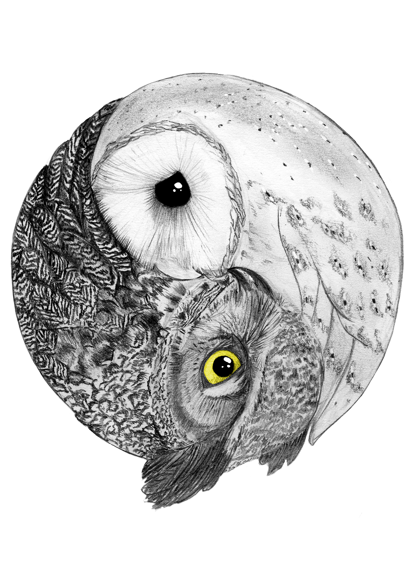 yin yang owl balance pencil black and white