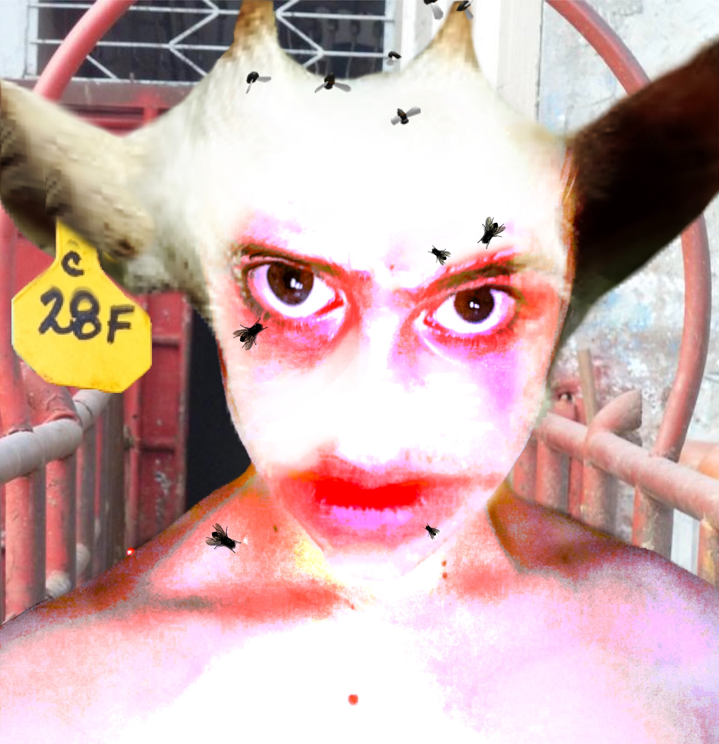 body horror creature horror Photo Manipulation 