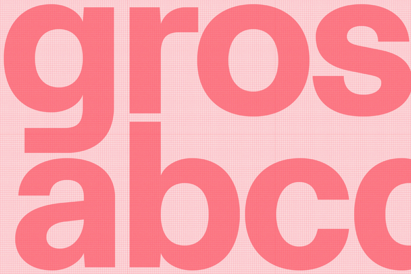 corporate font typography   display font font sans serif type design Typeface typeface design wayray grotesk