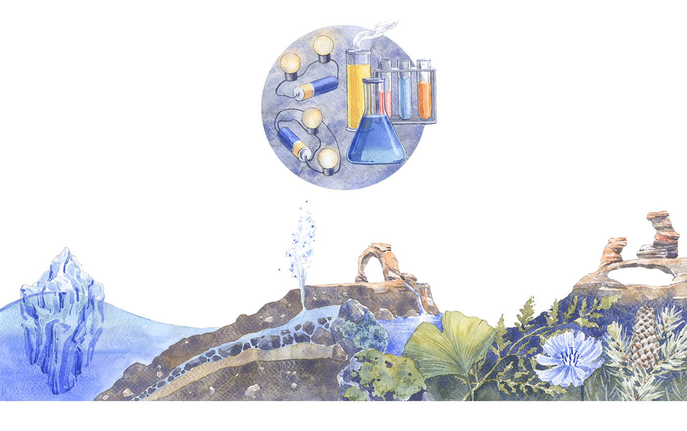 cover school science scientific illustration textbook акварель Иллюстратор иллюстрация научная иллюстрация обложка