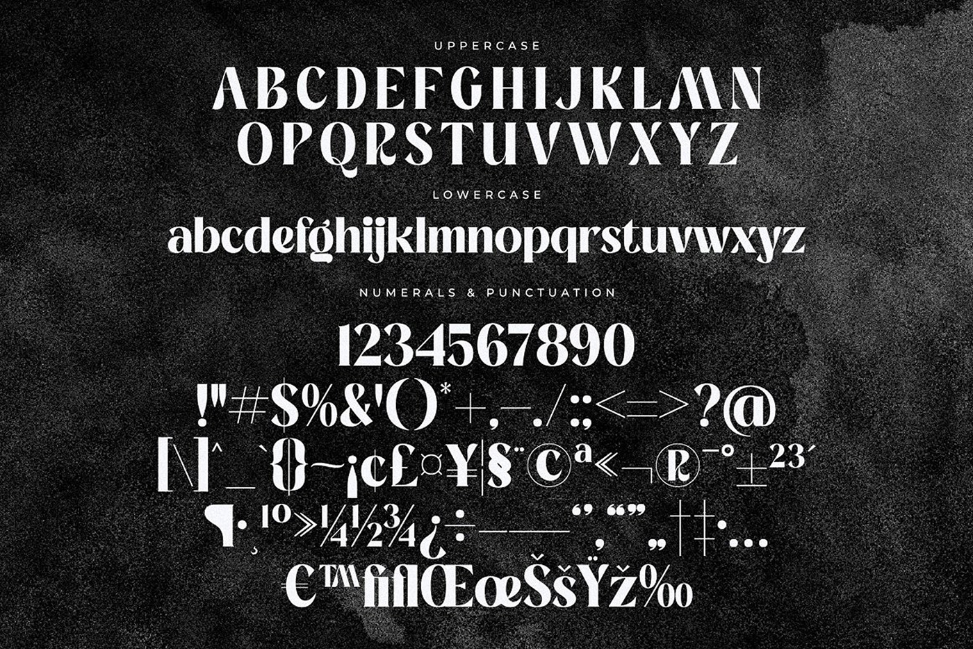 modern font Serif Font display font ligature luxury font classic font Script Font retro font bold font elegant typeface