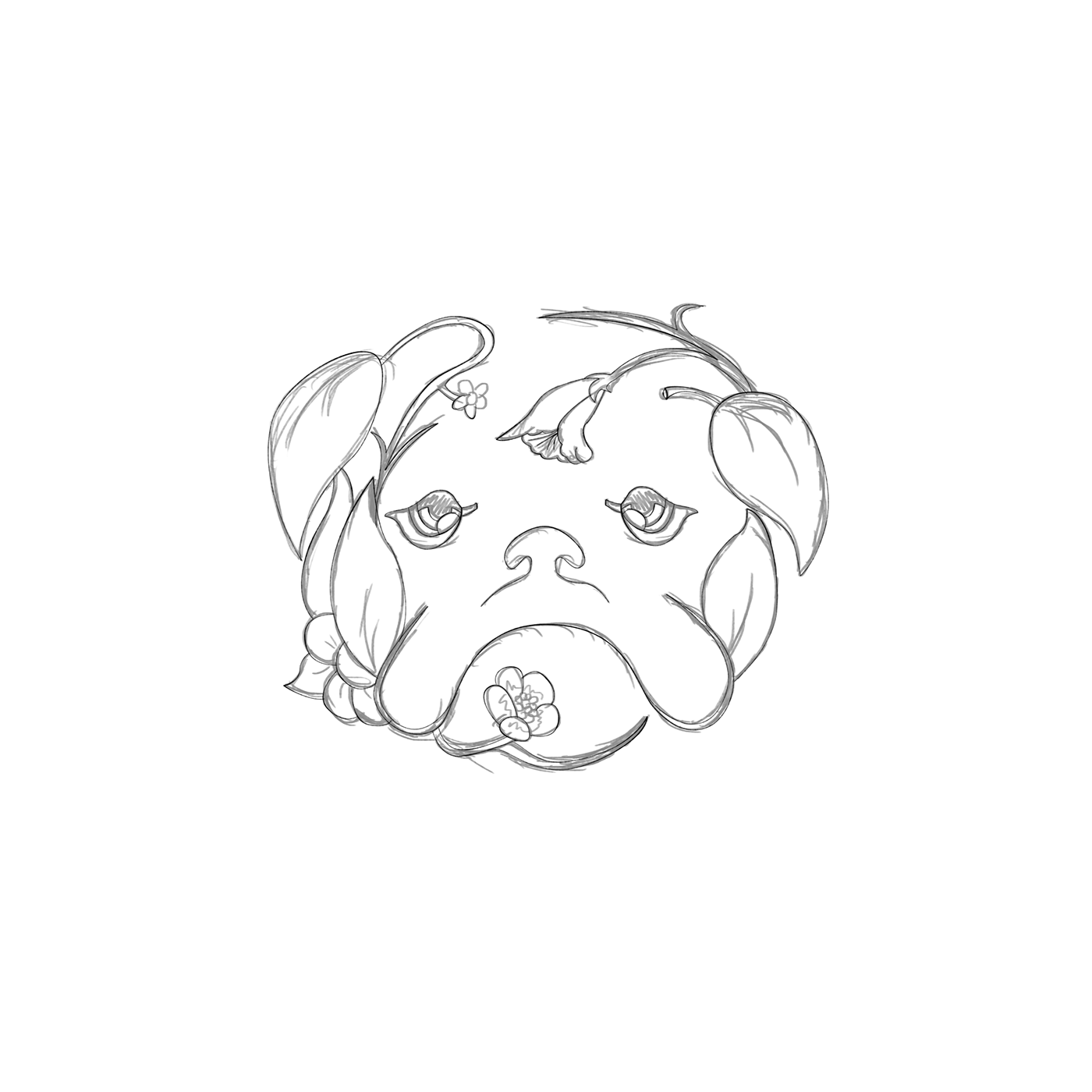 logo ILLUSTRATION  branding  typography   bulldogs dog