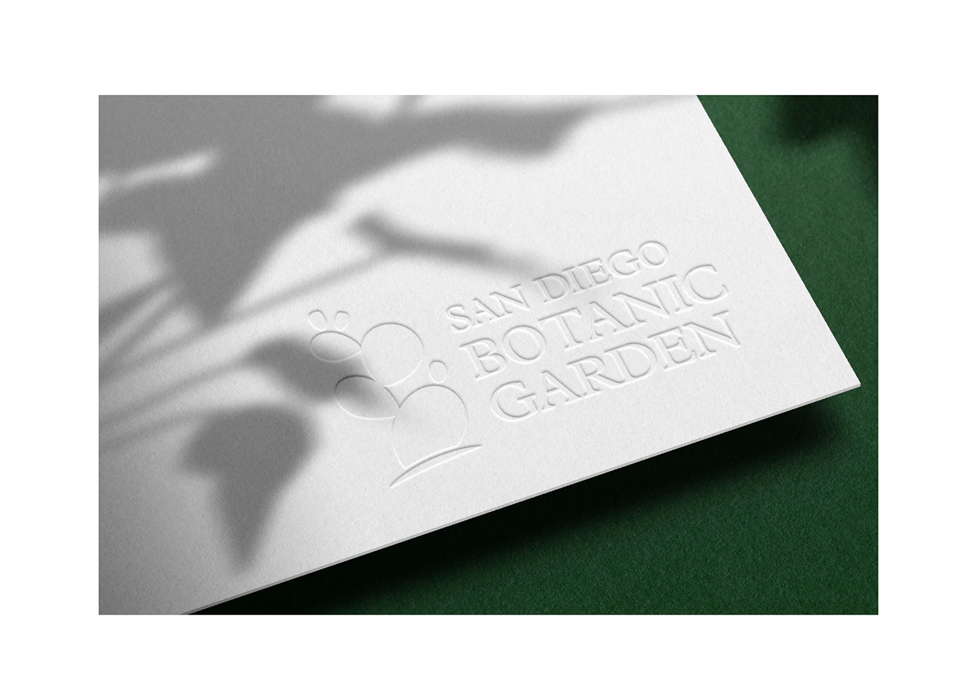 adobe illustrator botanic Botanical garden brand brand identity graphic design  identity Logo Design Logotype visual identity