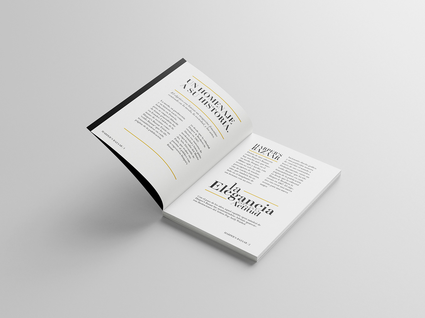 Didot Didot Typeface diseño gráfico editorial editorial design  InDesign libro tipografico magazine Magazine design typography  