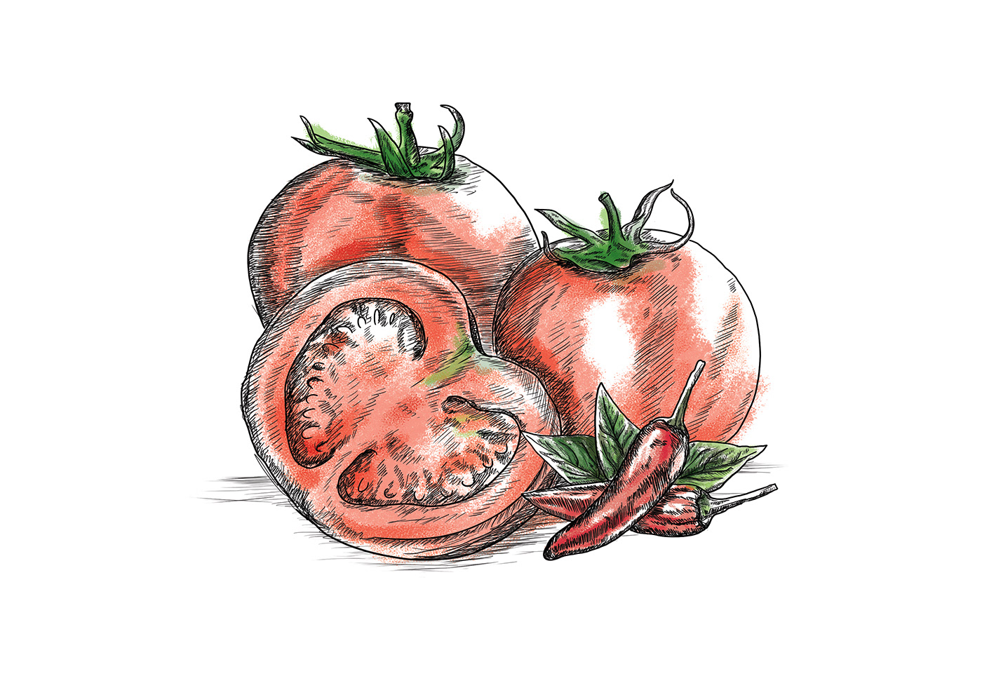 artwork colors Digital Art  Drawing  Food  fruits ILLUSTRATION  Packaging vector vegetables