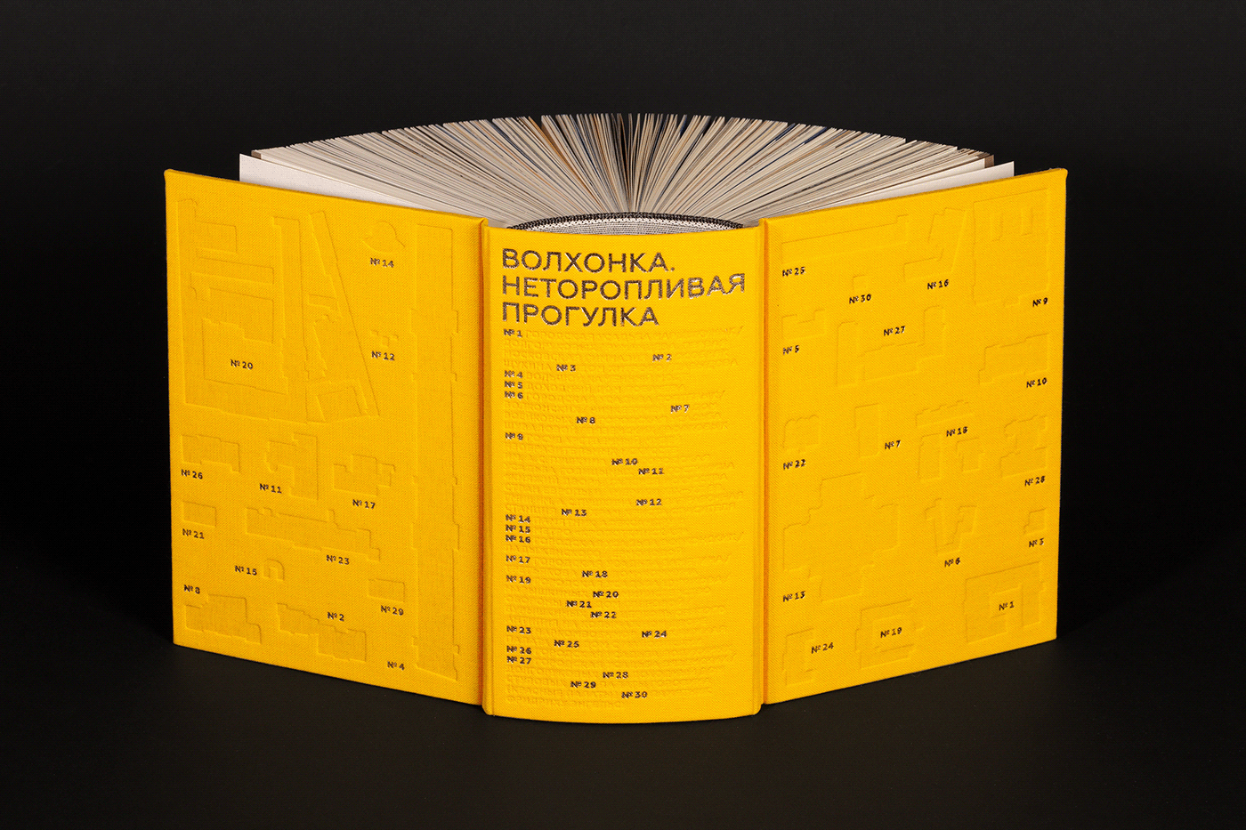 book book cover book design editorial editorial design  Guide Photography  typography   history map