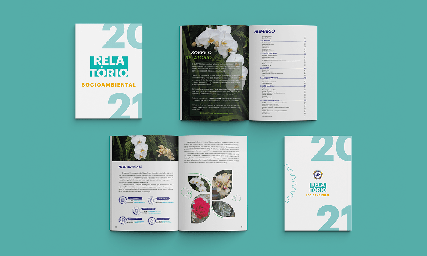 diagramação infographic ebook editorial Layout Relatório Anual sustentabilidade Meio Ambiente design gráfico ong
