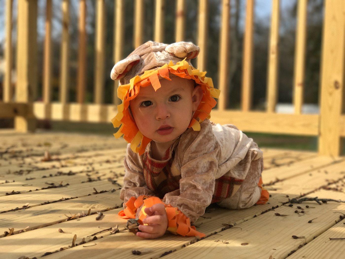 baby iphone cute Halloween children Photography 