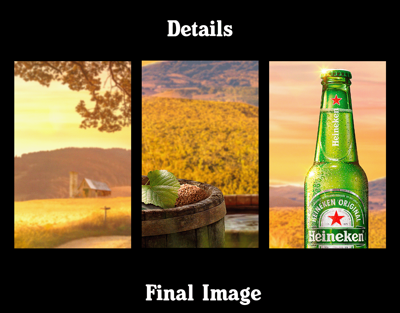 heineken beer photoshop color grading retouching  photo editing manipulation Manipulação de imagem designer Matte Painting