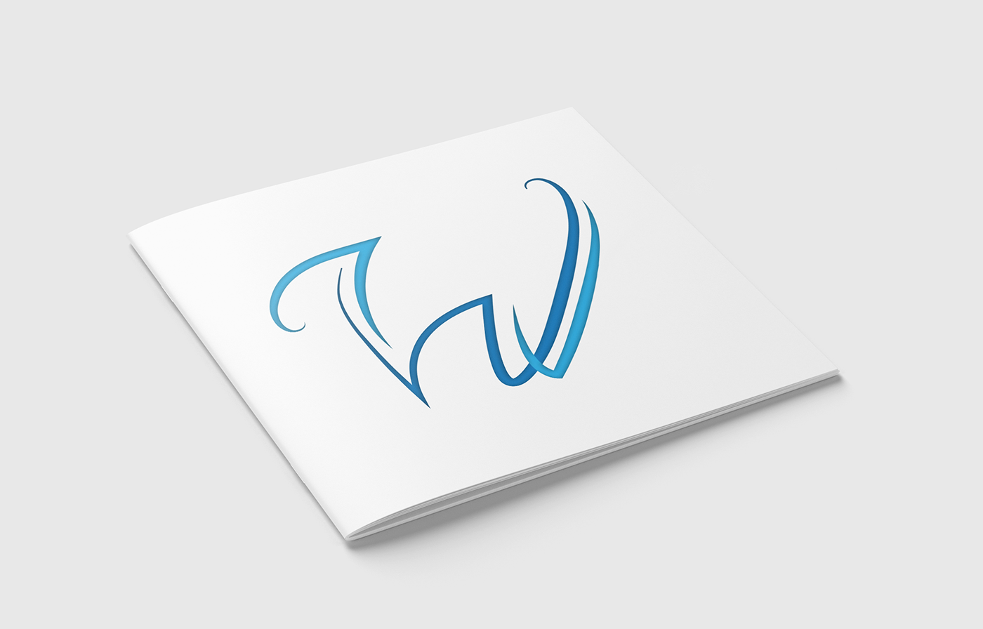 brochure graphic design  logo print real estate visual identity
