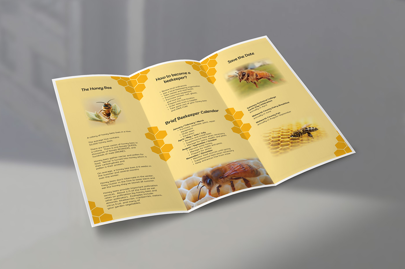 bee brochure brochure design Client InDesign