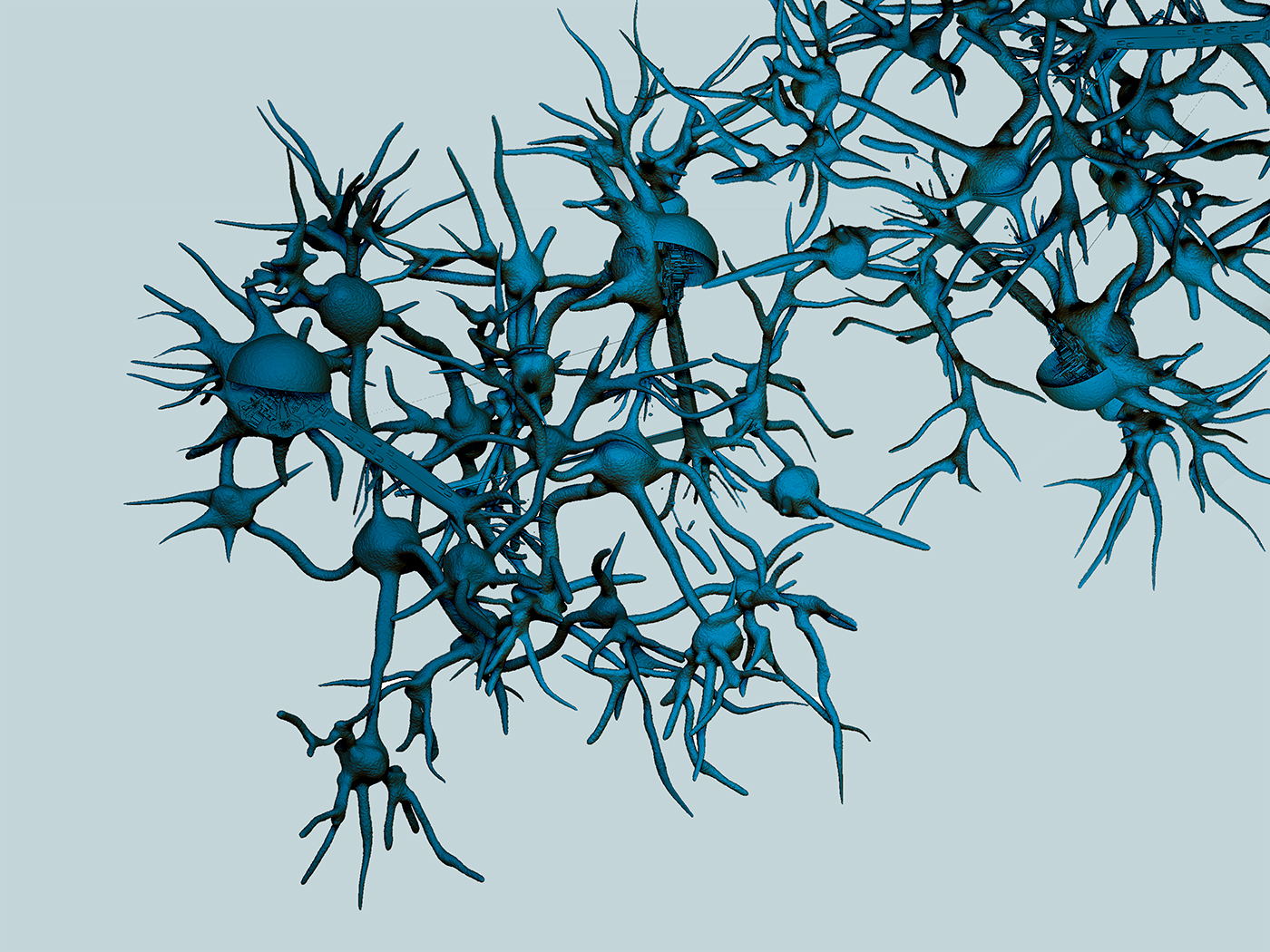 science neurons cytoskeleton Cell biologists regulator molecules brain nastplas Nerve
