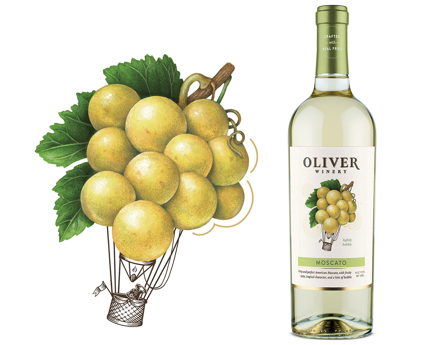 Watercolor illustration of a bunch of Moscato grapes used on packaging for Oliver Winery.