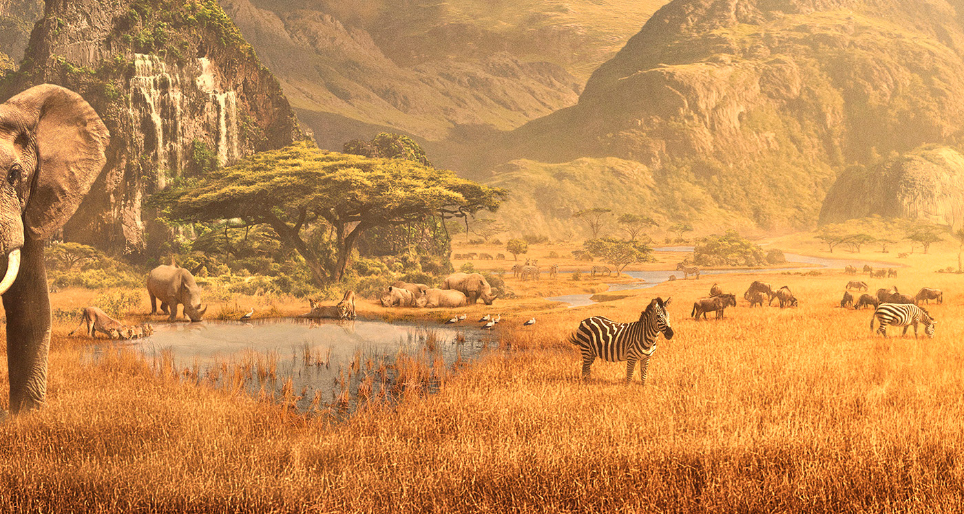 africa animals BBC biodiversity david attenborough elephant hourglass Landscape Nature sunset