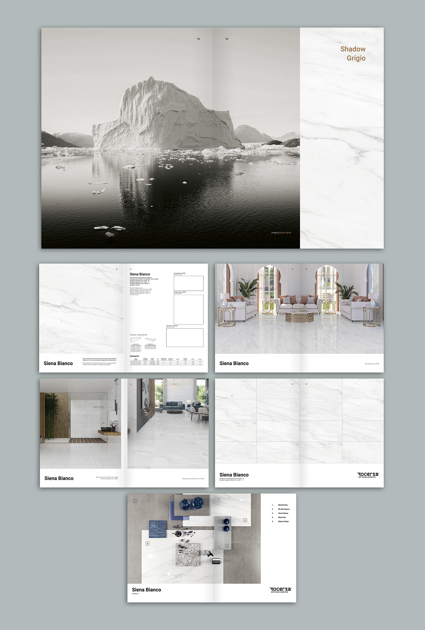 Catalogue Catalogue design editorial design  graphic design  InDesign photoshop porcelain catalogue
