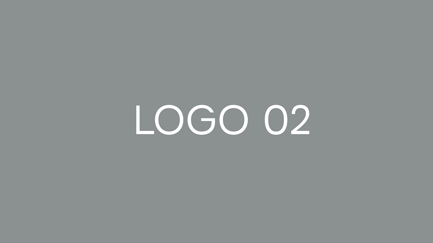 brand identity branding  graphic design  logo logos visual identity
