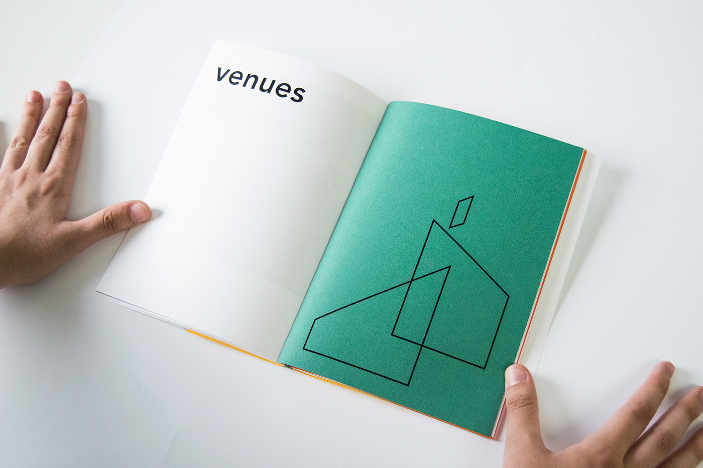 visual identity festival