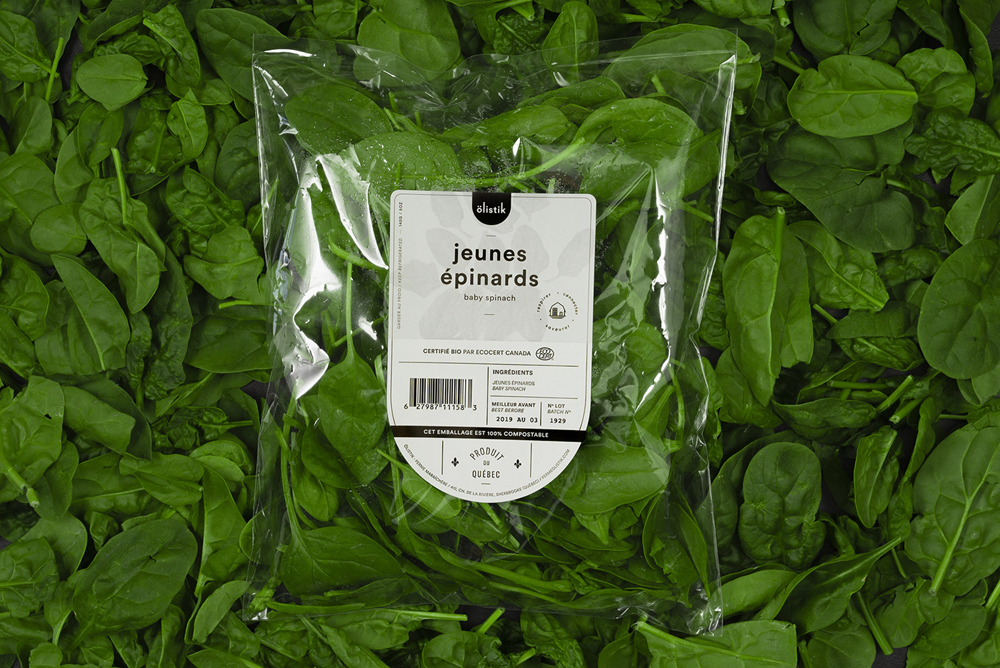 salad Packaging Label graphic design  Icon ILLUSTRATION  Montreal farm organic sherbrooke
