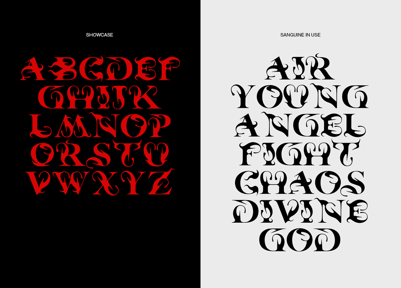 Typeface font type design typography   angel gothic Blackletter bruegel divine type