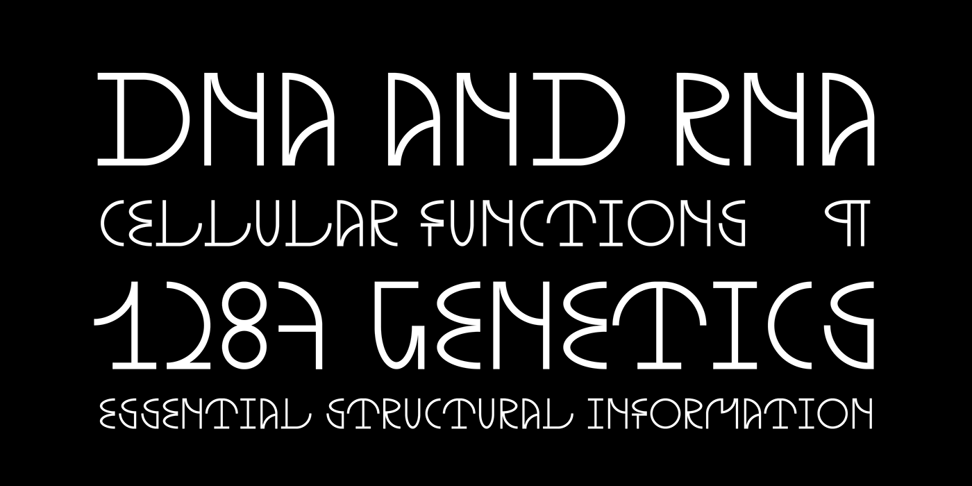 typography   typefacedesgin type tipografia letras