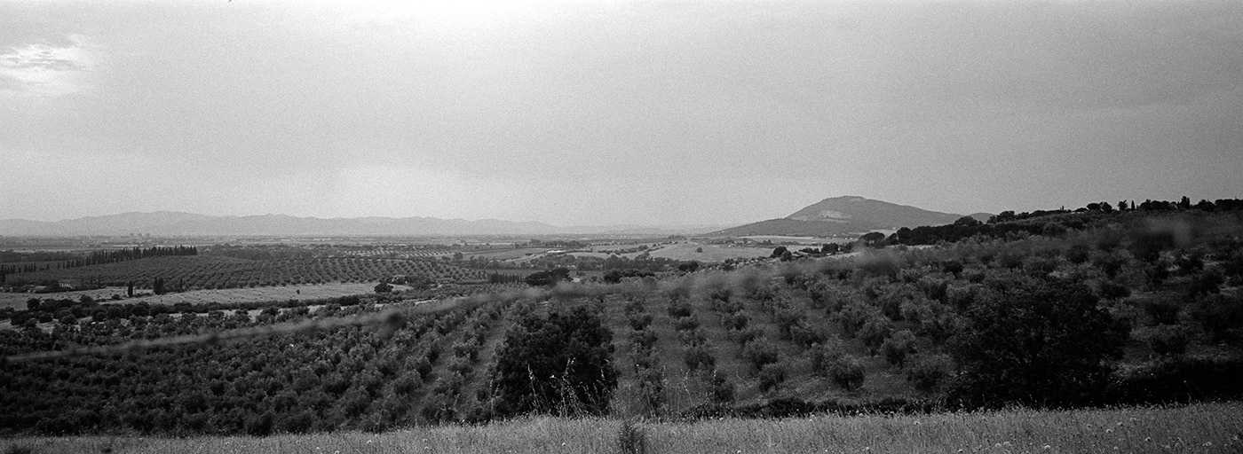 black and white FilmPhotography Hasselblad kodak Landscape Tri-x xpan