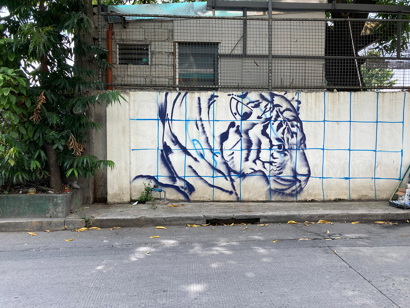 Graffiti kookoo kookoo ramos Mural Street Art  tiger tiger bee tiger beer philippines heineken heineken philippines