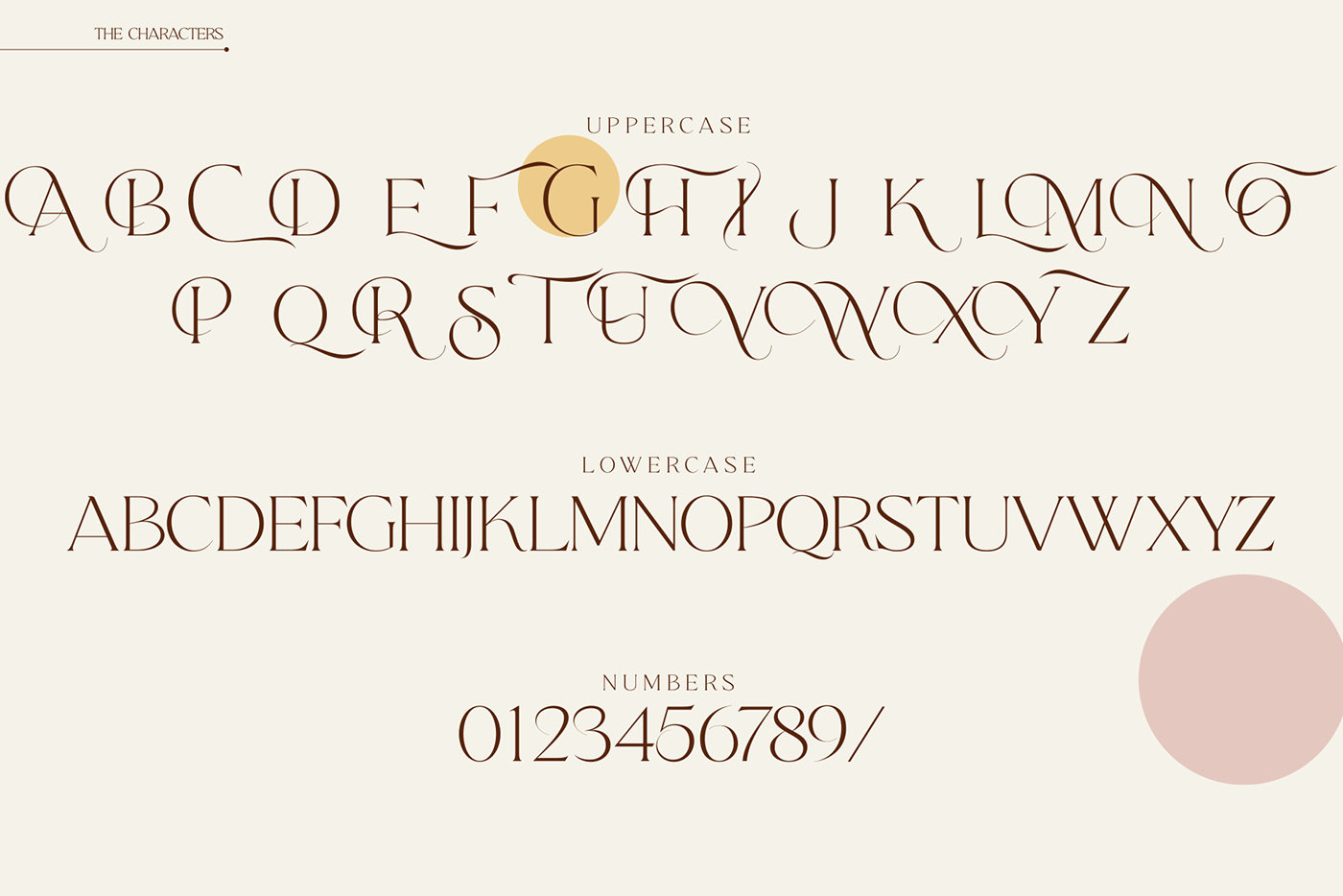 art font heading logo Script serif type Typeface brand identity typography  