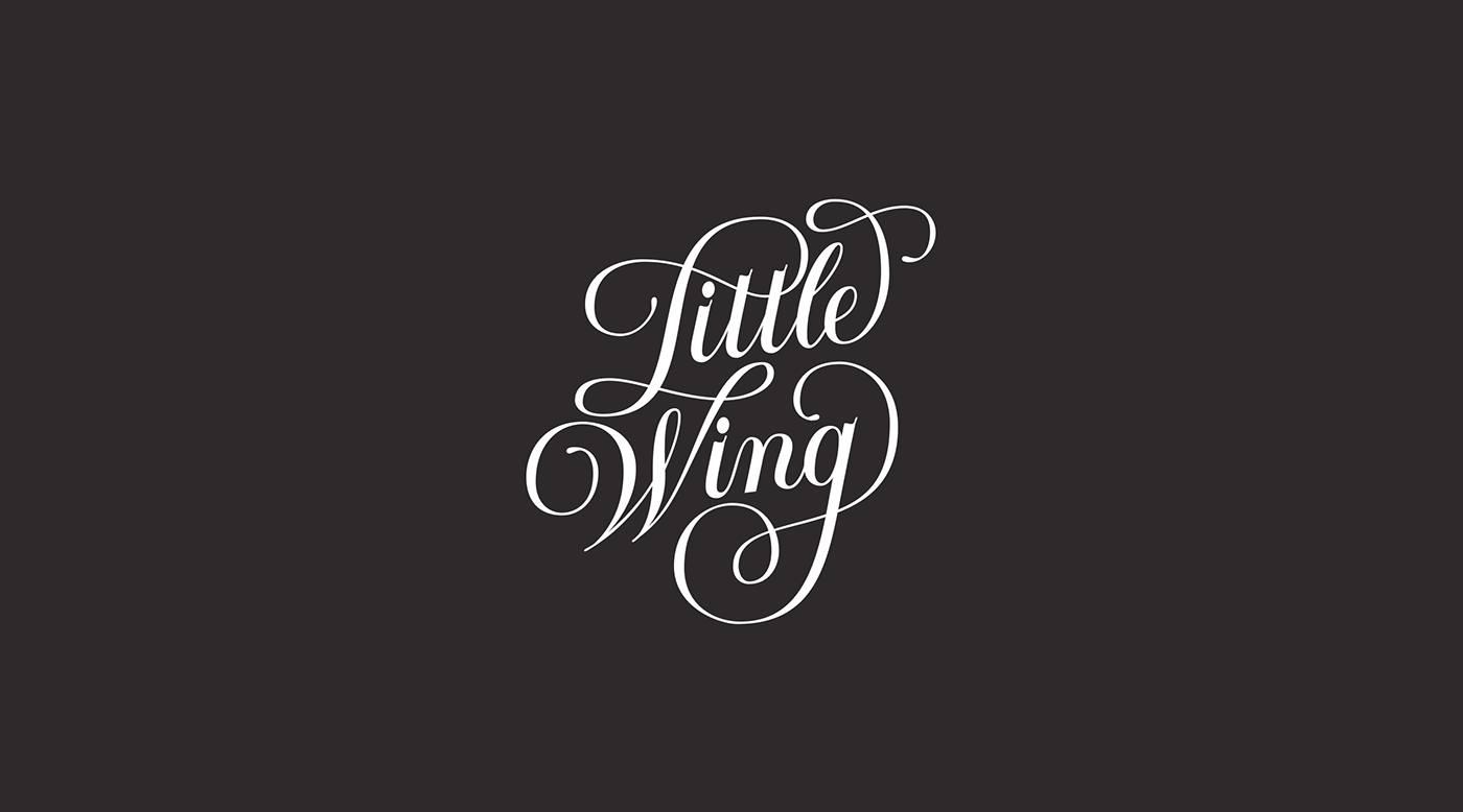 lettering lettering logo Calligraphy   Handlettering Script