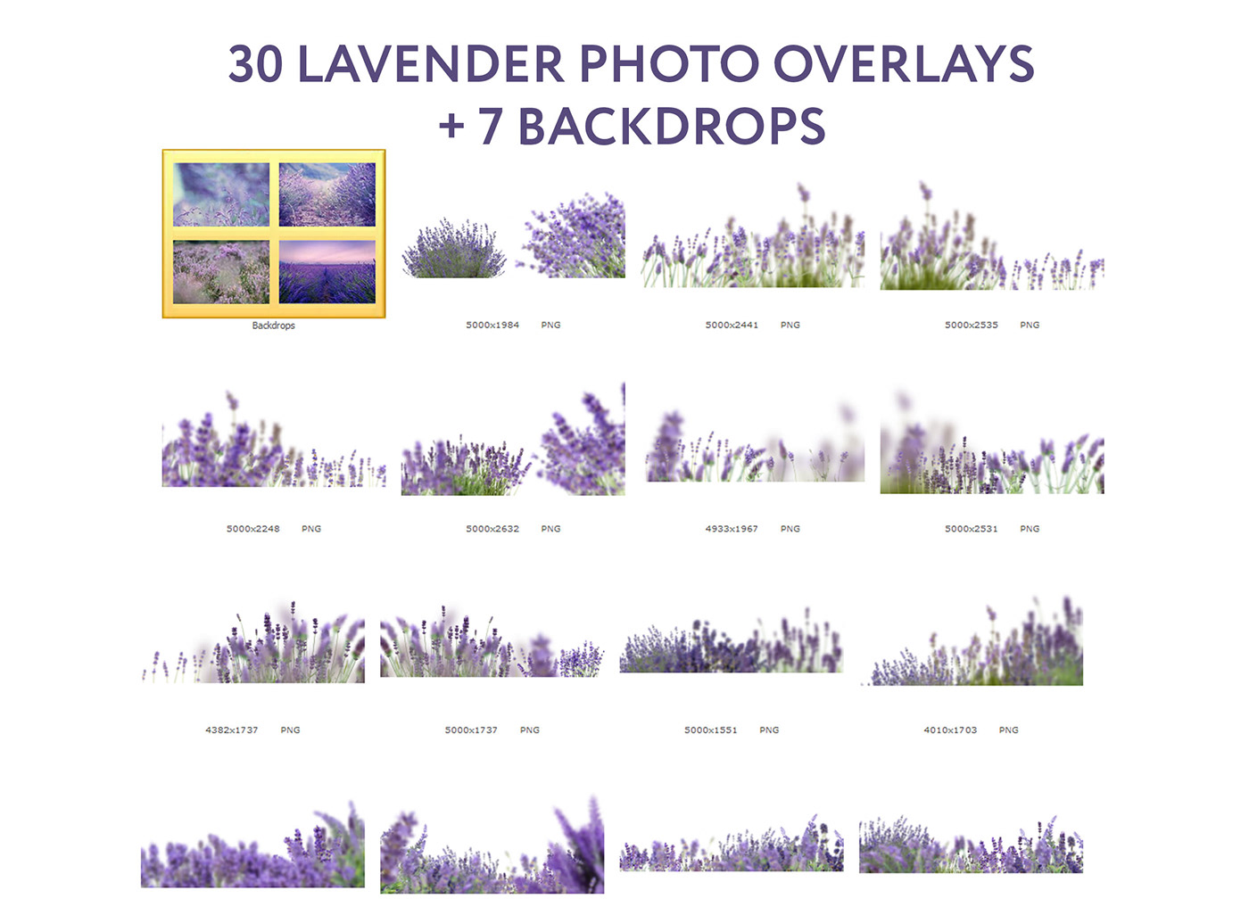 Digital Backdrop digital overlays Flower Overlays Png Lavender Overlays overlays photoshop photo overlays photography overlays photoshop overlays texture overlays