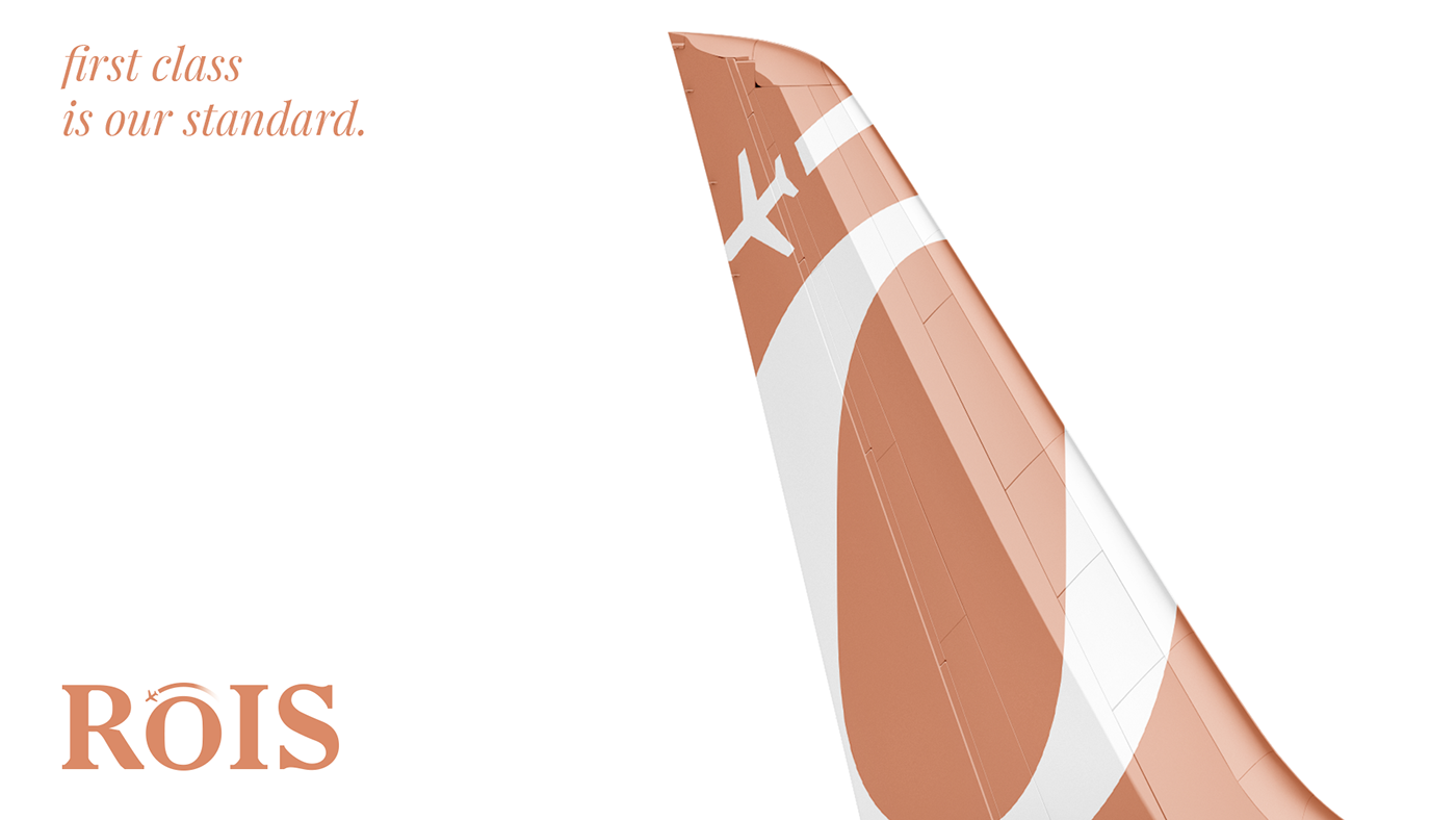 airline branding  graphic design  logo Logo Design