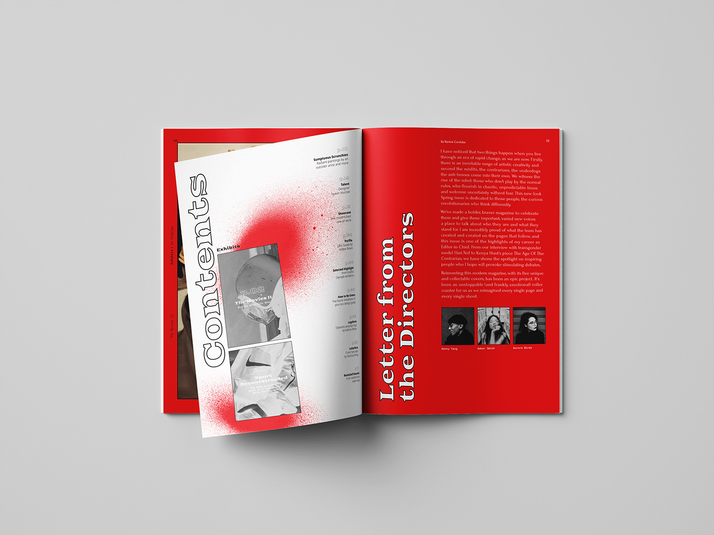 book graphic design  InDesign Layout magazine