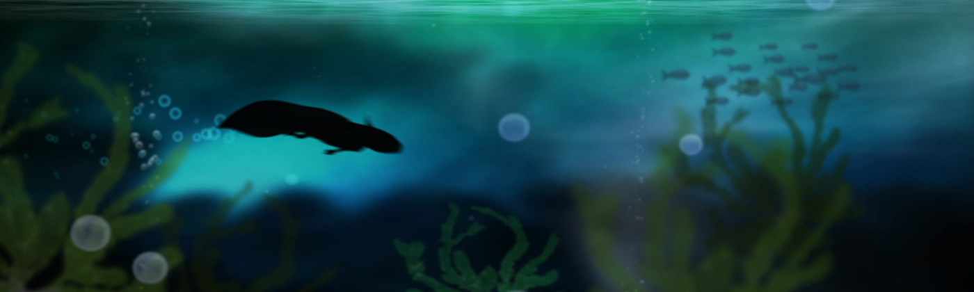 mexico Tenochtitlan video mapping Show axolotl water mexicas history corn eagle