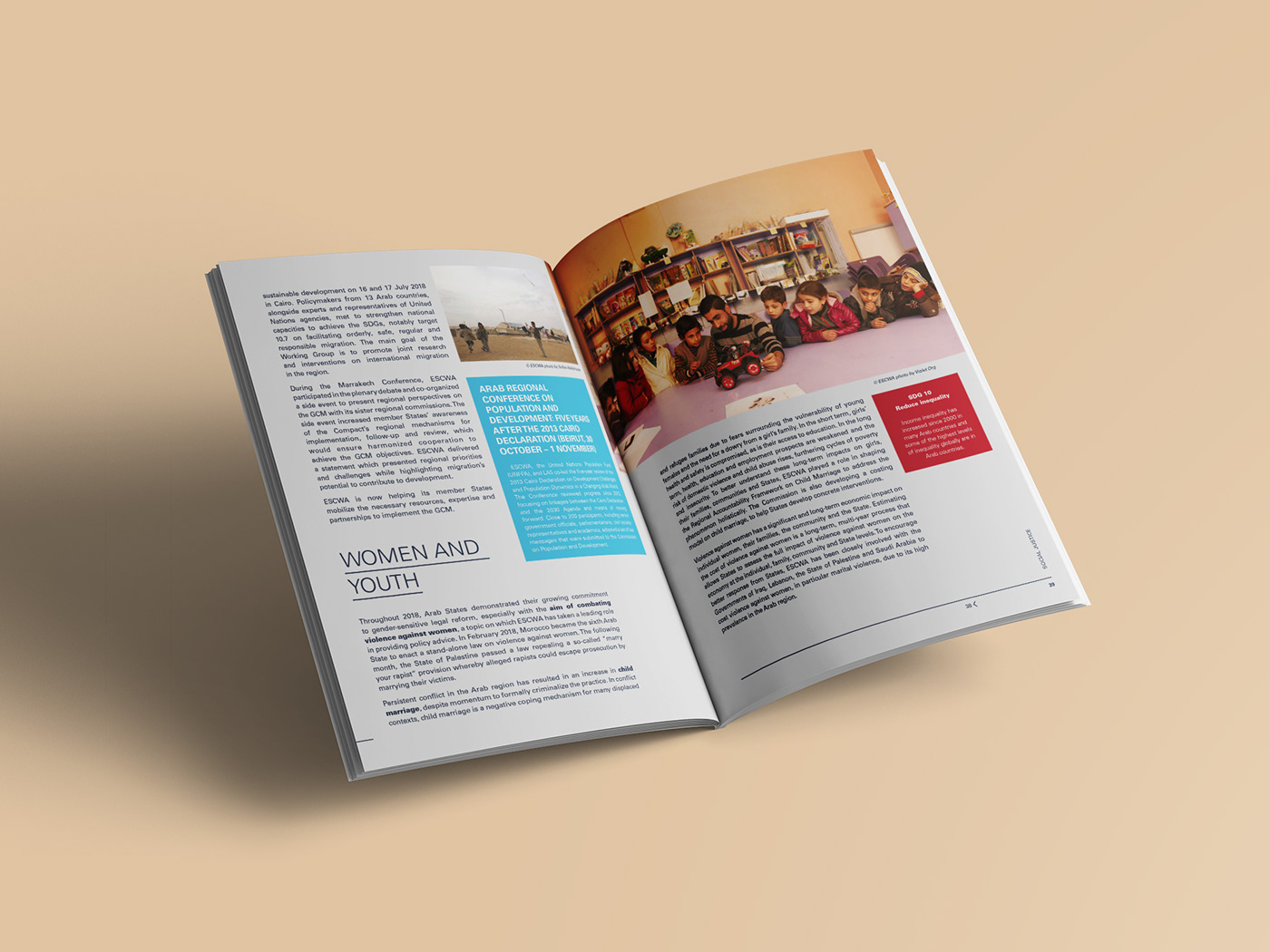annual report brochure publication