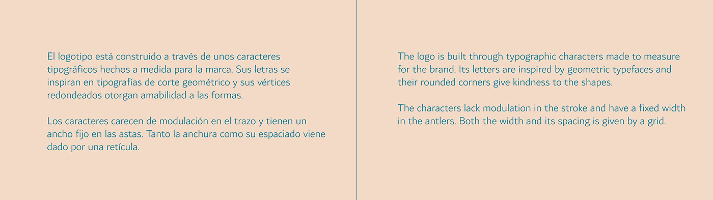 Brand Design branding  design geometric pattern Logo Design marketing   typography   visual identity