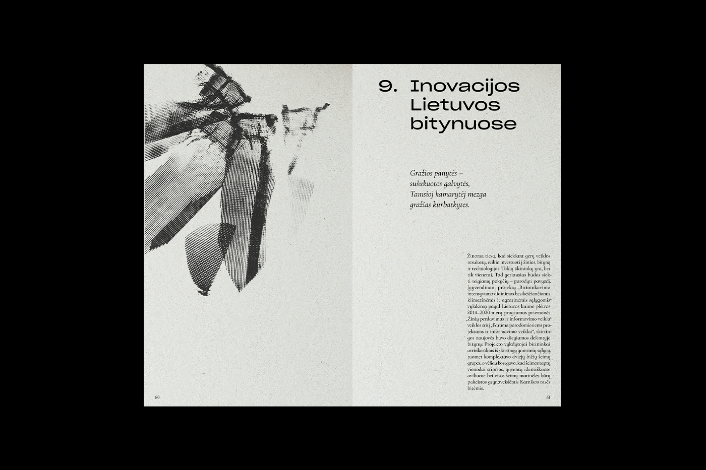 bees book editorial handmade Layout magazine print print design  publication typography  
