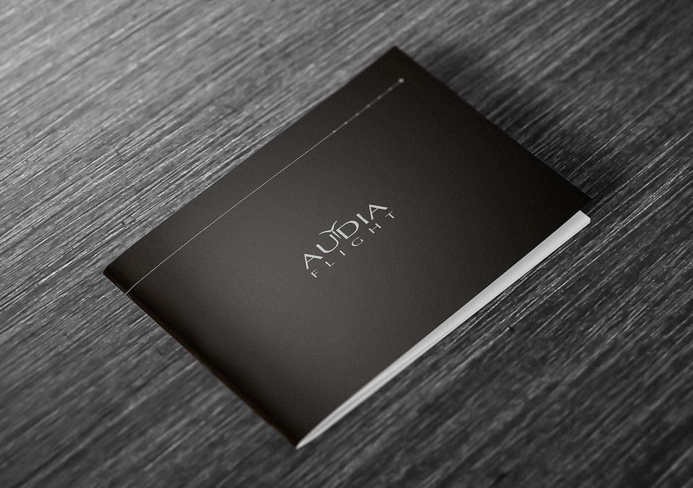 Audio brochure catalog graphic design  music pantone black design minimal
