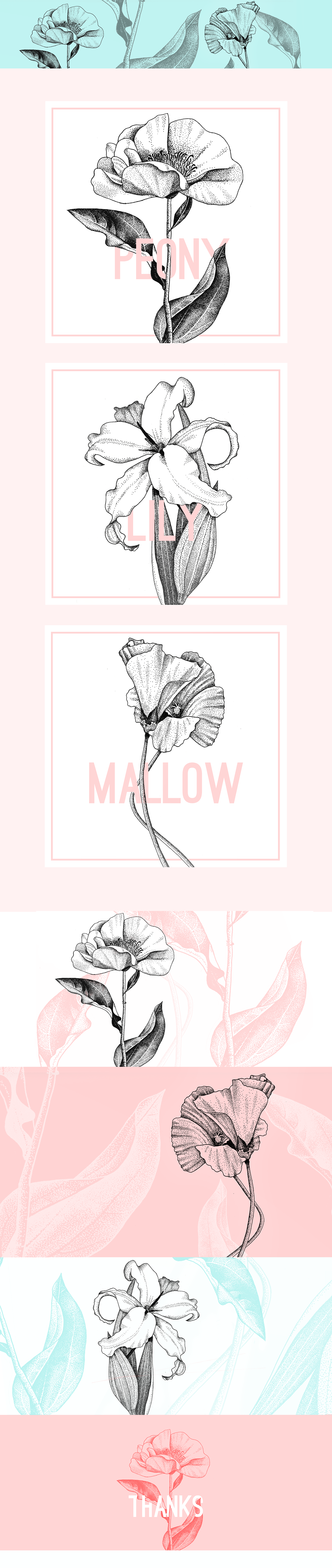 Flowers draw ILLUSTRATION  mellow lily peony Drawing  dots