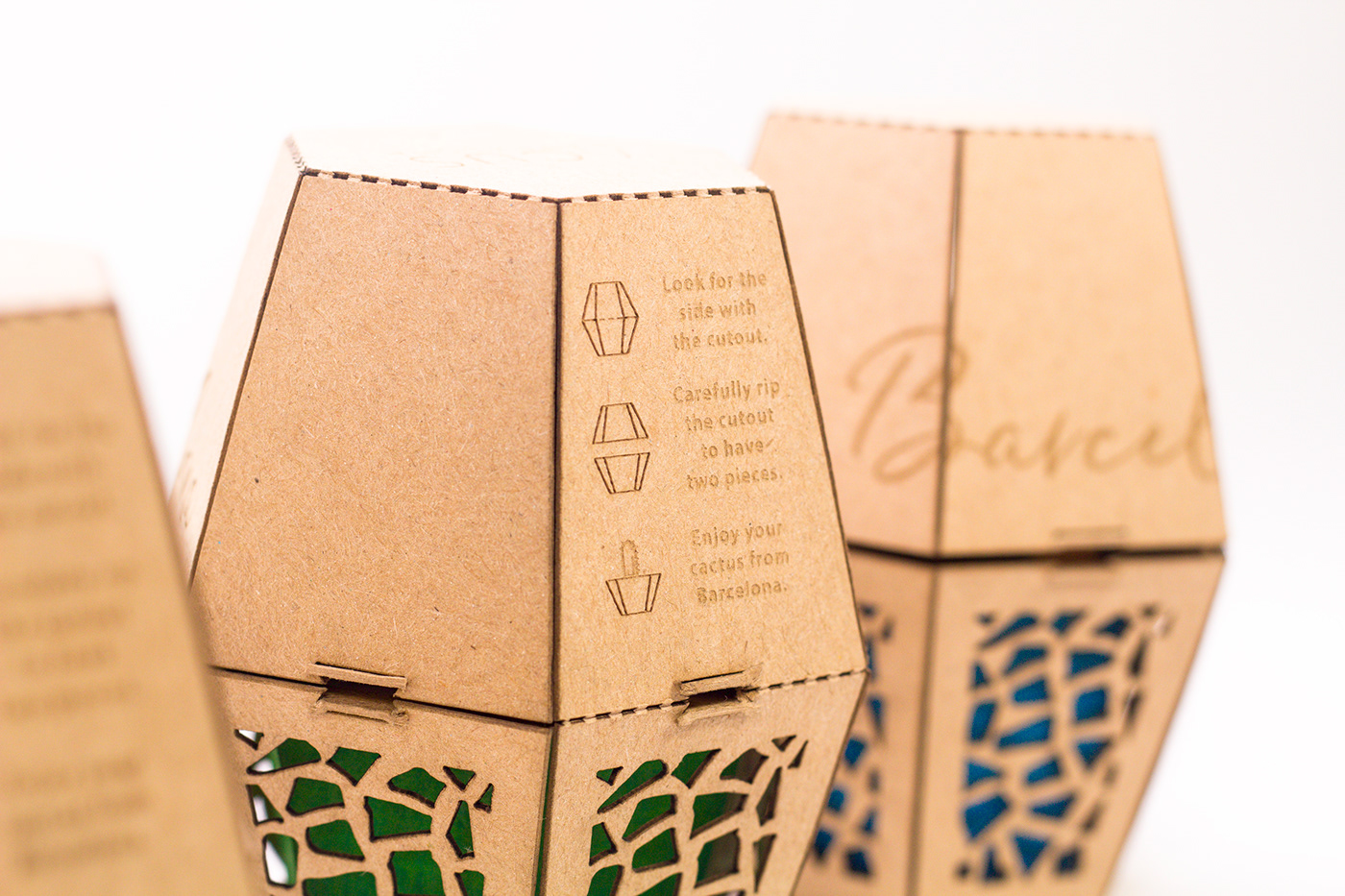 cactus Packaging barcelona Ecopack