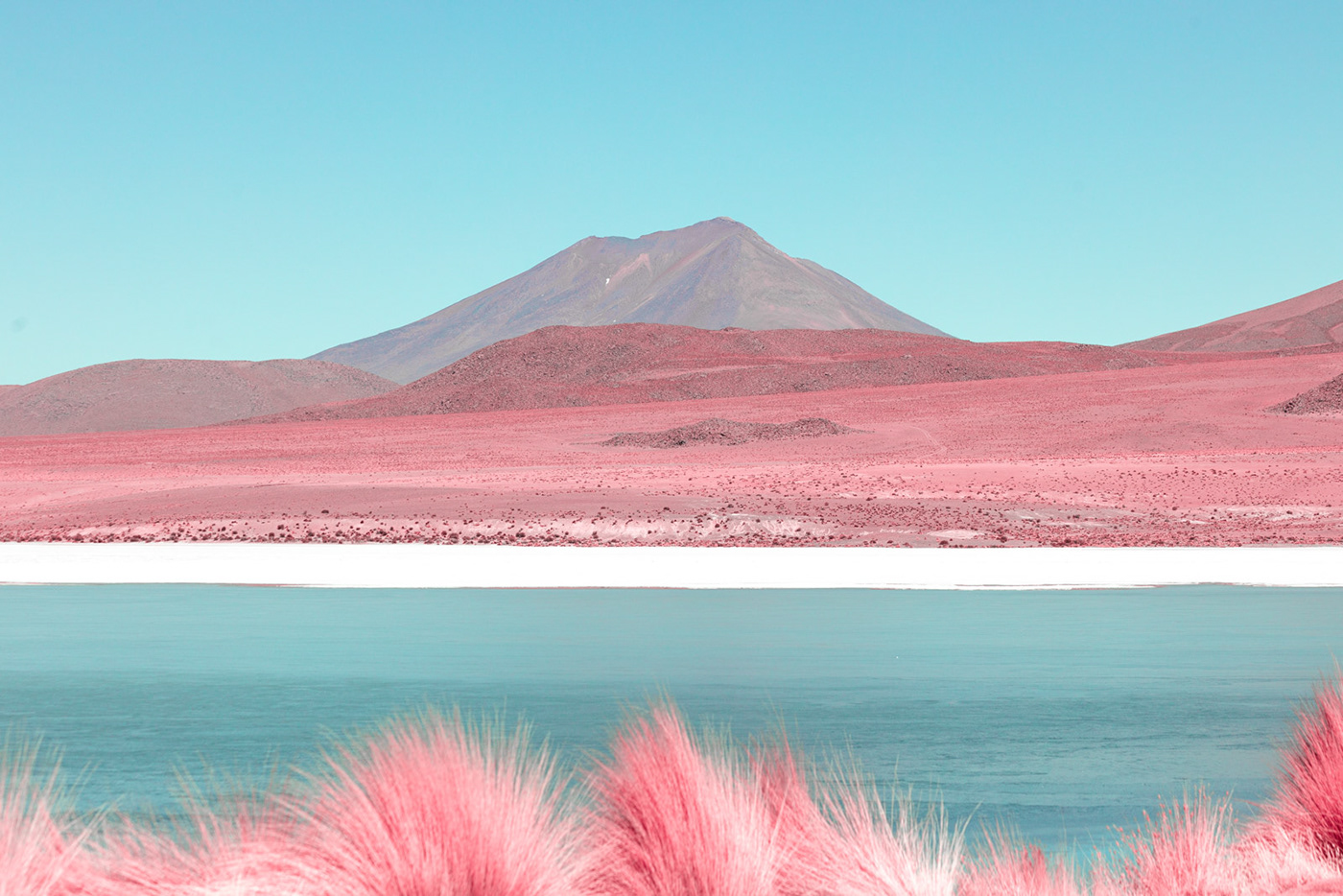 infrared landscapes Nature desert abstract minimal red pink flamingos lake